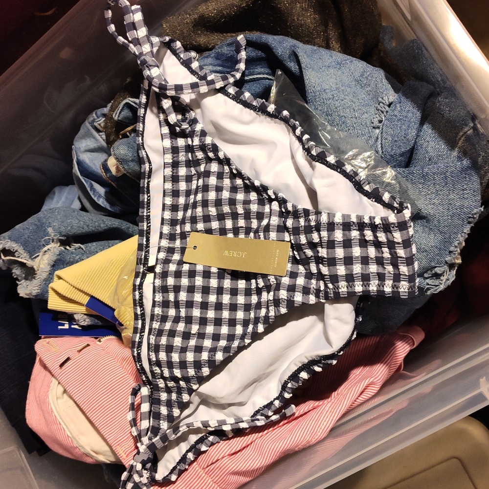 J. Crew Gingham String Bikini Bottom Large - image 3